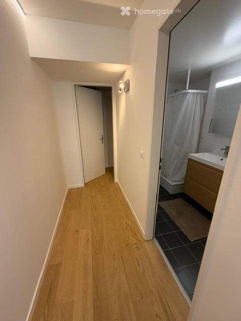 Studio chic, calme, au frais, rénové et meublé avec jardin à louer 8