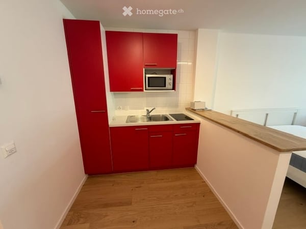 Studio chic, calme, au frais, rénové et meublé avec jardin à louer 6