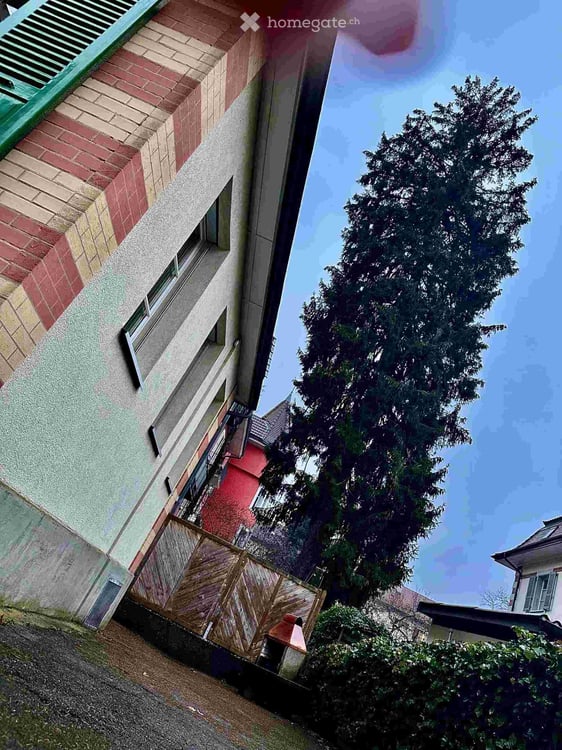 Wohnung in Bern im Breitenrainquartier 19