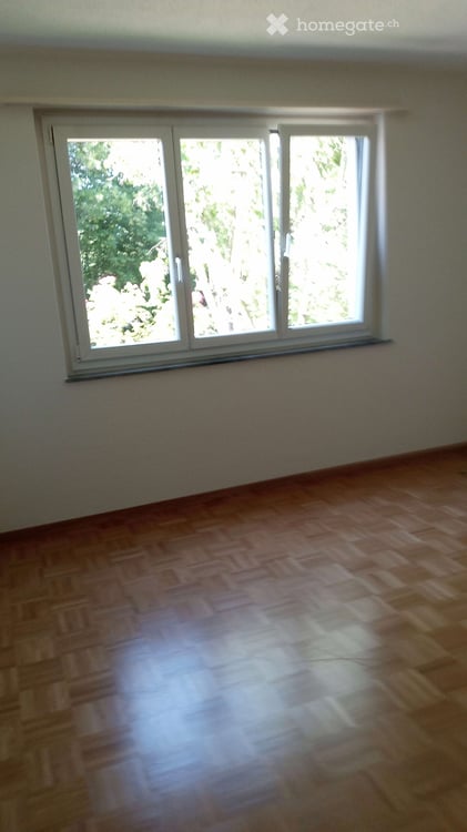 4,5 Zimmer Wohnung in Höri 2