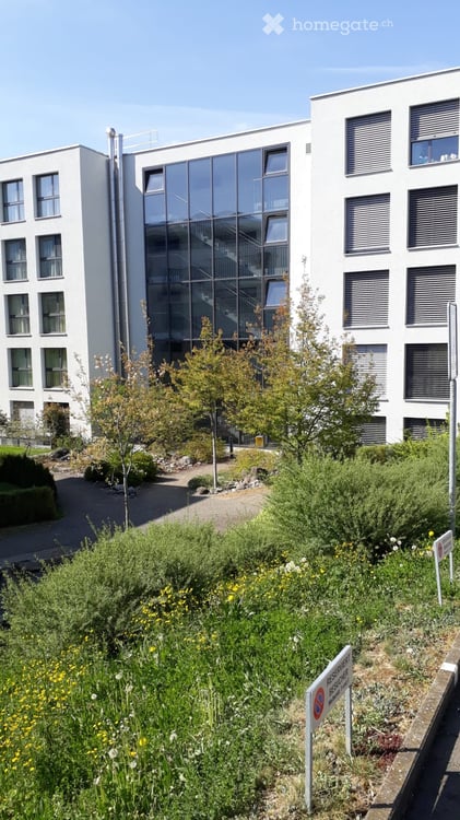 Helle 3.5-Zimmer-Wohnung mit Gartensitzplatz in Ballwil 1