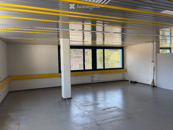 Atelier-, Hobby-, Gewerbe-, Lager- und Büroflächen in Neuheim zu vermieten 13
