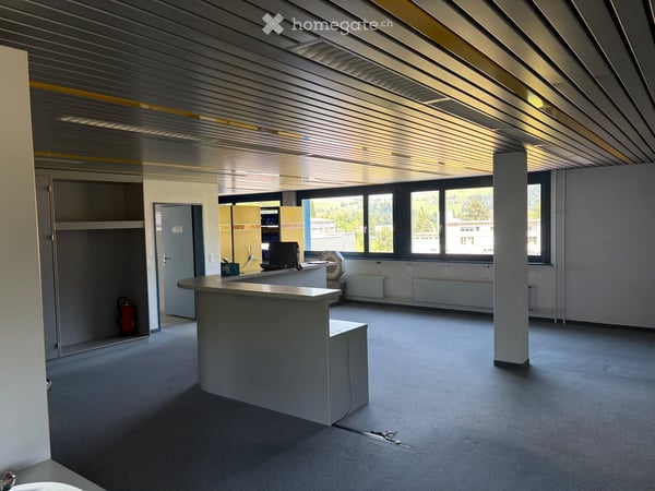 Atelier-, Hobby-, Gewerbe-, Lager- und Büroflächen in Neuheim zu vermieten 5