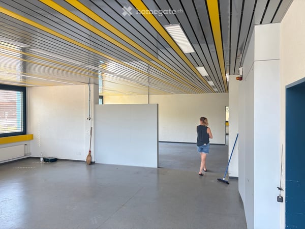Atelier-, Hobby-, Gewerbe-, Lager- und Büroflächen in Neuheim zu vermieten 14