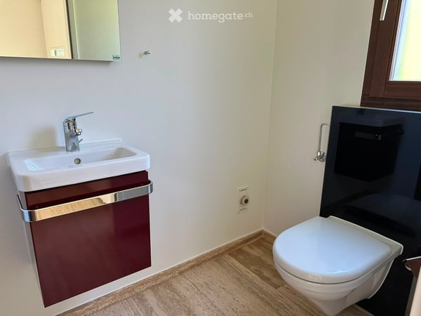 Charmantes 6.5-Zimmer-Reihenhaus in Therwil zu vermieten 15