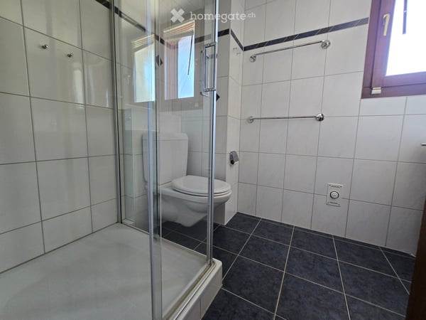 Charmantes 6.5-Zimmer-Reihenhaus in Therwil zu vermieten 9