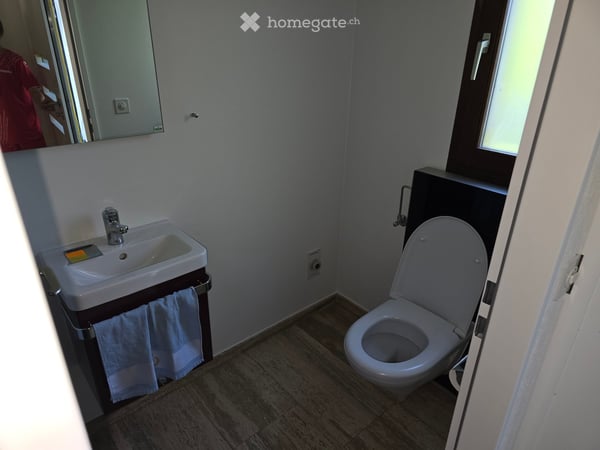 Charmantes 6.5-Zimmer-Reihenhaus in Therwil zu vermieten 10
