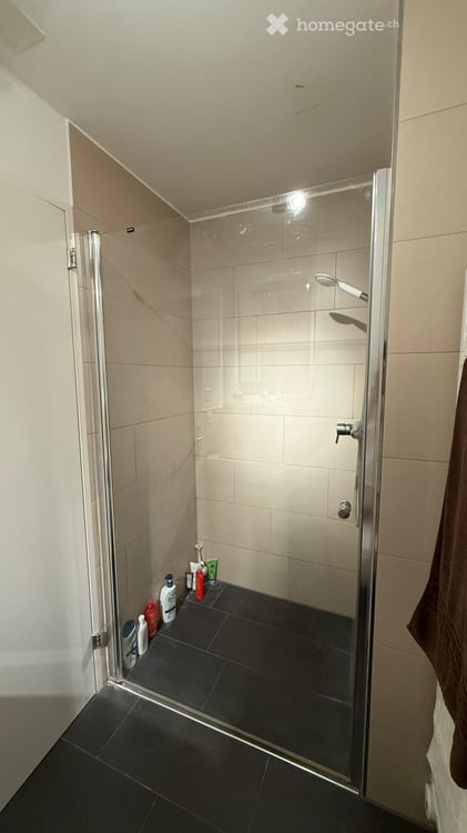 4.5-Zimmer Garten-Wohnung am Stadt- und Waldrand 9
