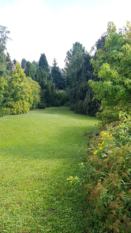 Villa in Wegenstetten 4
