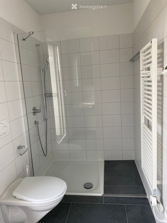 4.5 Zimmer Attikawohnung: zentral, modern und sonnig 9