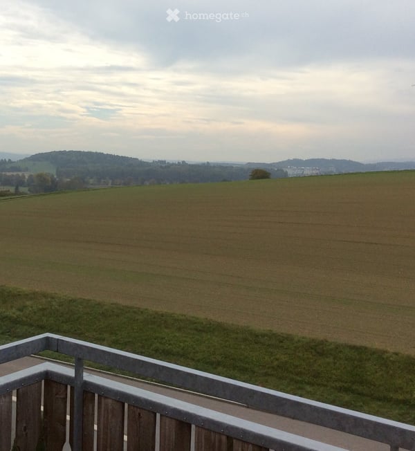Grosszügige 5.5-Zimmer-Maisonette-Wohnung mit Balkon und herrlicher Aussicht in Neerach 8