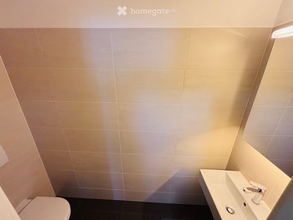 Affascinante appartamento mansardato di 3.5 locali a Zurigo – Lavaterstrasse 9