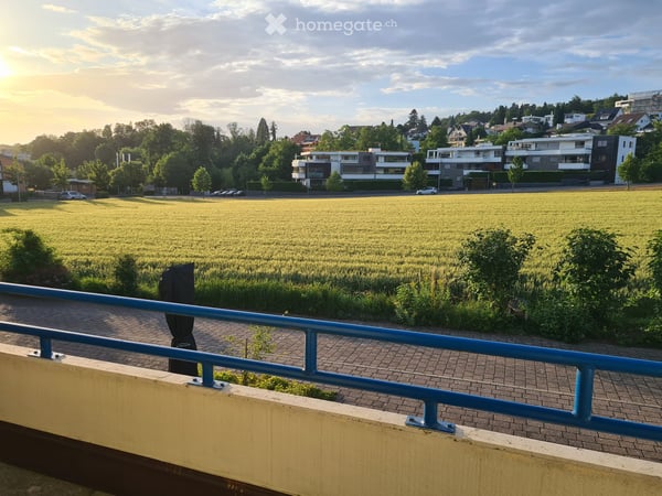 Gepflegtes 5.5-Zimmer-Reihenhaus in ruhigen, familienfreundlichen Quartier im steuergünstigen Winkel 15