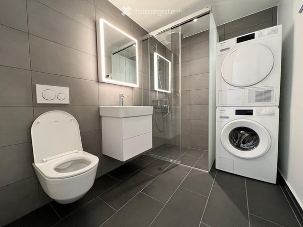 3.5-Zimmer-Traumwohnung mit Rheinfall-Sicht | CHF 2’960.– inkl. NK & Einstellplatz 5