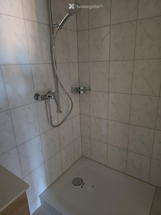 Helle 4.5-Zimmer-Wohnung mit Balkon und Garage in Zürich-HönggWohnung in Zürich 6