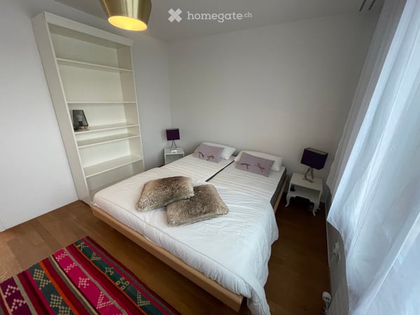 Beautiful fully FURNISHED apartment - view of the lake and old town Zug - with lots of amenities 15