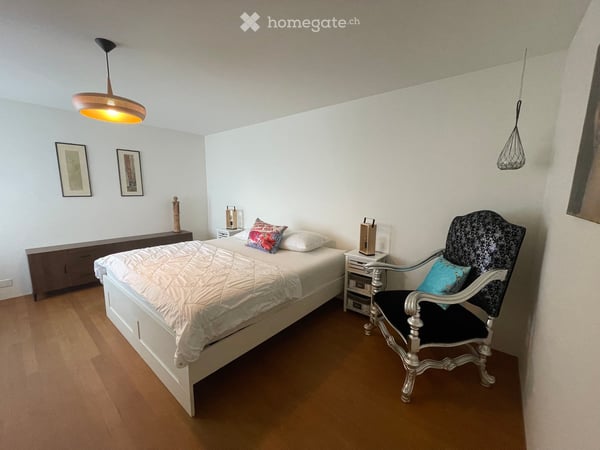Beautiful fully FURNISHED apartment - view of the lake and old town Zug - with lots of amenities 11