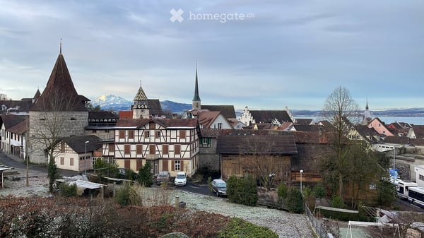 Beautiful fully FURNISHED apartment - view of the lake and old town Zug - with lots of amenities 10