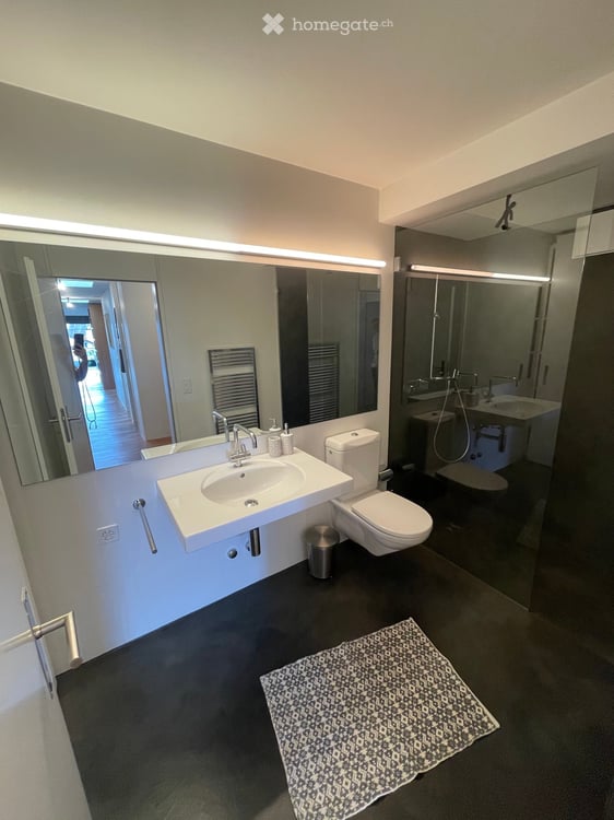 Beautiful fully FURNISHED apartment - view of the lake and old town Zug - with lots of amenities 13