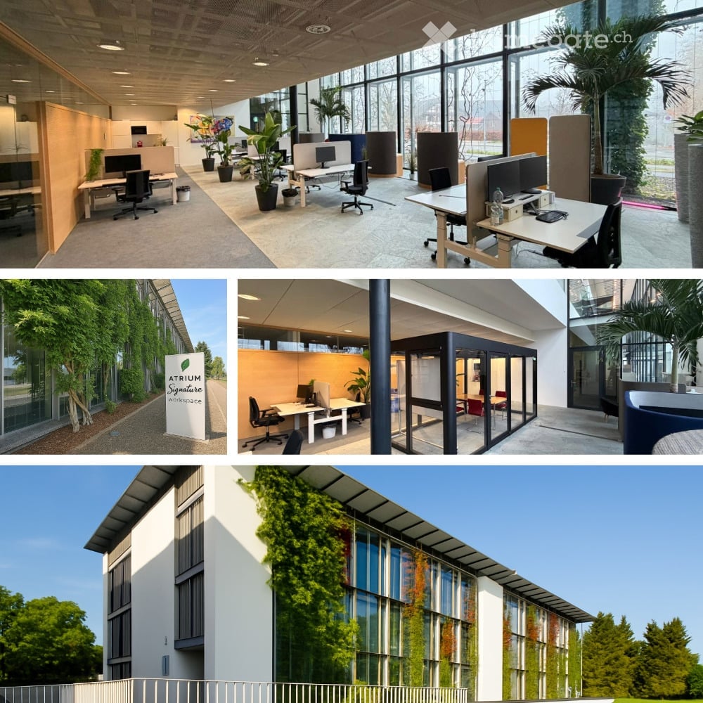 modern open plan office with plants, meeting rooms and desks, entrance with climbing plants, bright with large windows