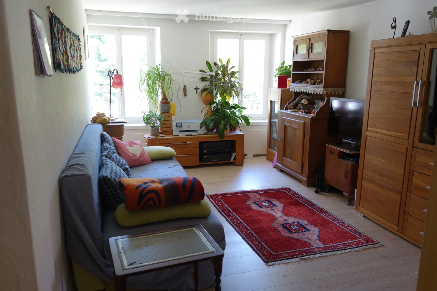 A cozy living room with a grey sofa, colorful cushions, a coffee table, a television, wooden cabinets, and several potted plants. The room features a red patterned rug and large windows letting in natural light.