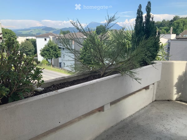 Helle 4.5-Zimmer-Wohnung mit Balkon in Eschenbach LU – ab sofort verfügbar! 9
