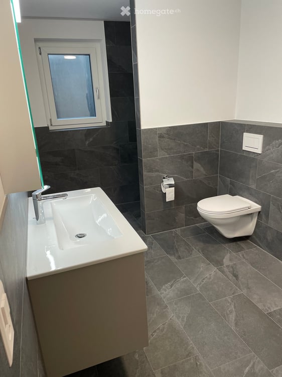3 1/2 Zimmer Neubau-Wohnung in Castrisch 7