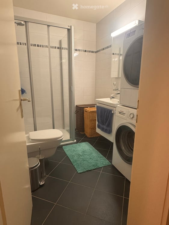 Charming 4-Room Apartment in Coppet – Available September 2026 9