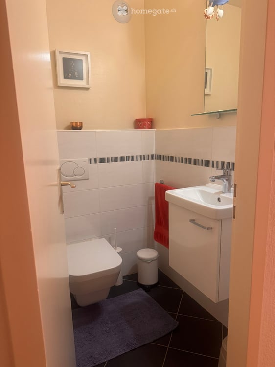 Charming 4-Room Apartment in Coppet – Available September 2026 11
