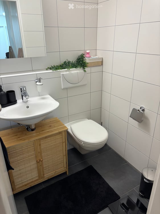 Helle 3.5-Zimmer-Wohnung mit Balkon und schöner Aussicht in Forch 6