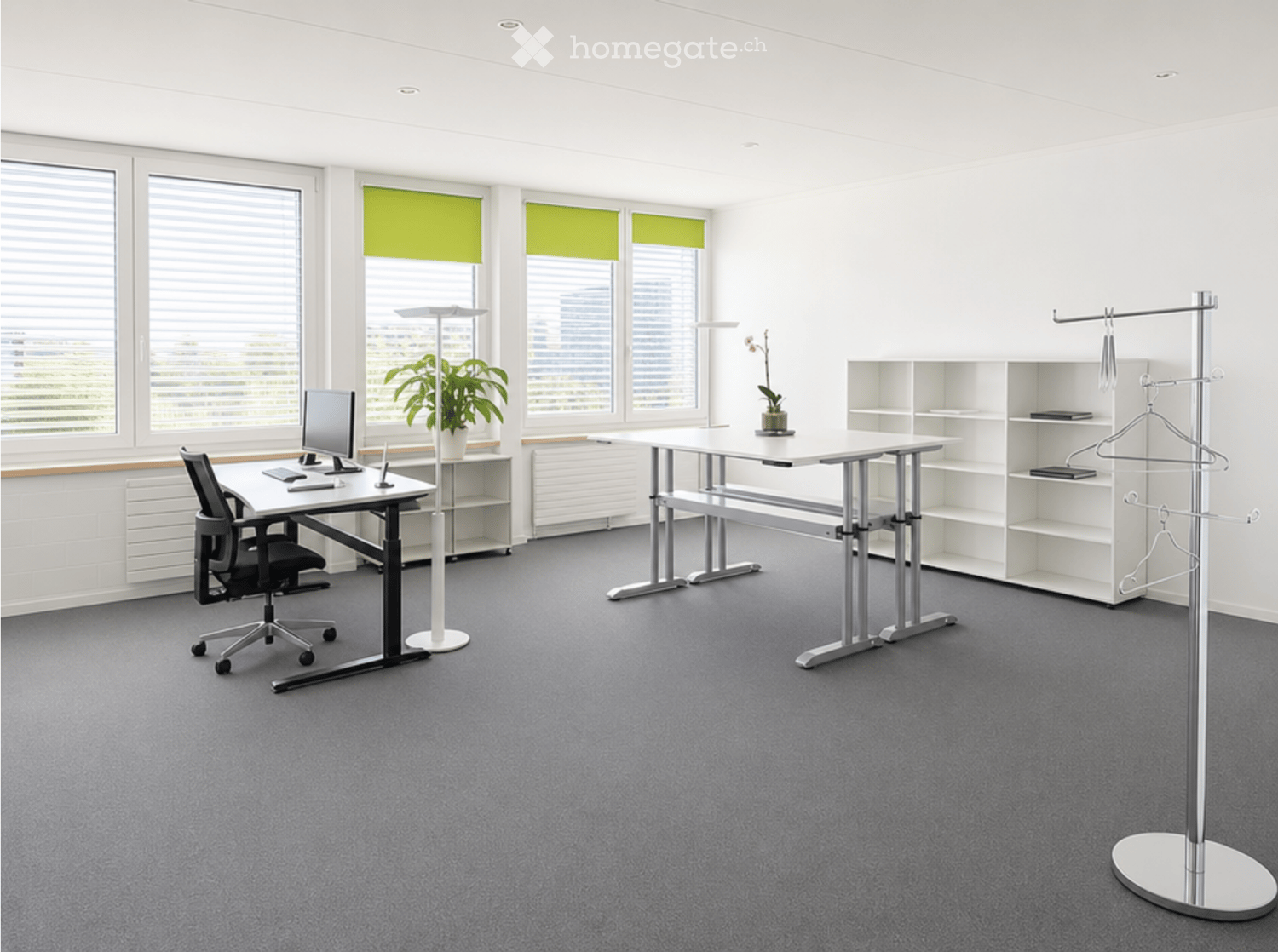 Modern office space with grey carpet, white walls, large windows with green blinds, two desks with chairs, a coat rack, and shelves.