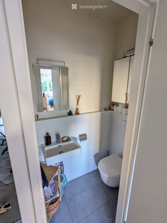 Apartment in Petit-Lancy 10