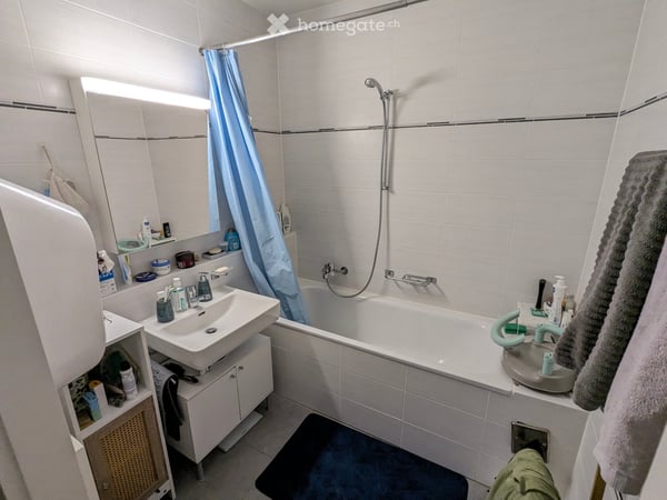 Apartment in Petit-Lancy 9