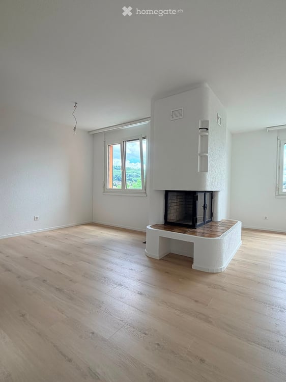 3.5-Zimmer-Wohnung, frisch saniert, mit Cheminée und grossem Balkon in Kappel SO 3