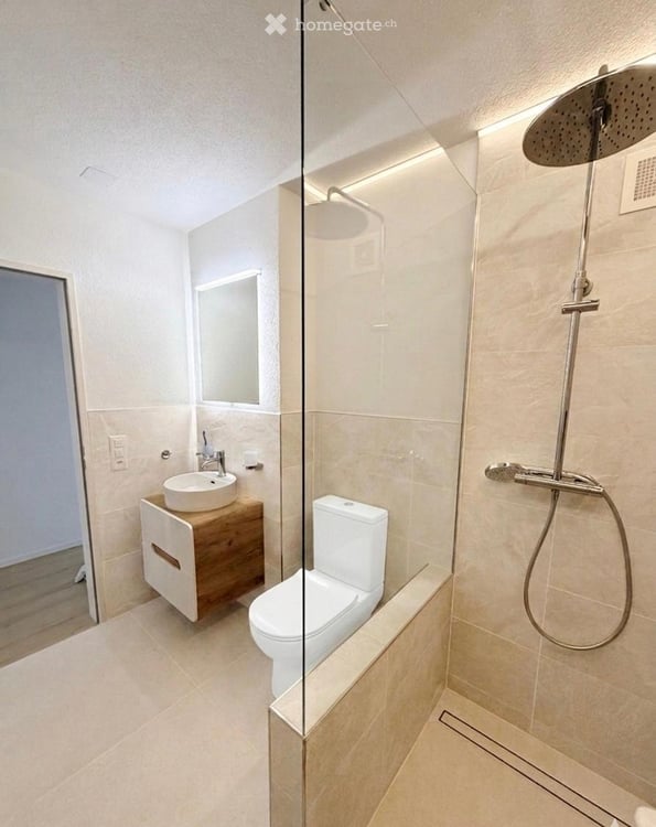 3.5-Zimmer-Wohnung, frisch saniert, mit Cheminée und grossem Balkon in Kappel SO 8