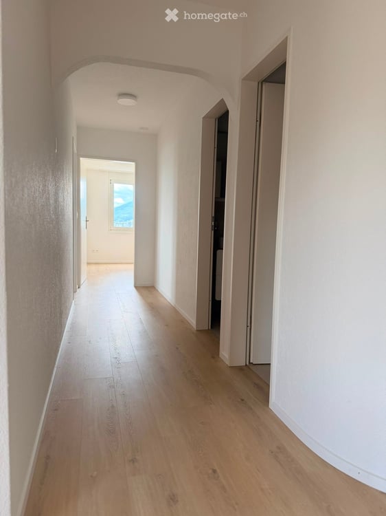 3.5-Zimmer-Wohnung, frisch saniert, mit Cheminée und grossem Balkon in Kappel SO 13