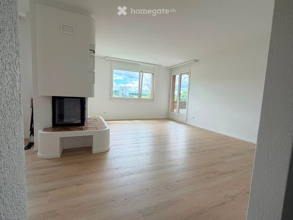 3.5-Zimmer-Wohnung, frisch saniert, mit Cheminée und grossem Balkon in Kappel SO 2
