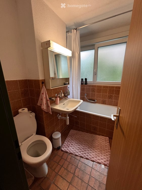 WG zimmer im schönen Au ZH 9