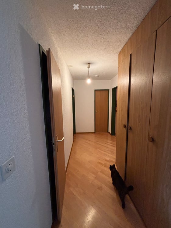 WG zimmer im schönen Au ZH 8