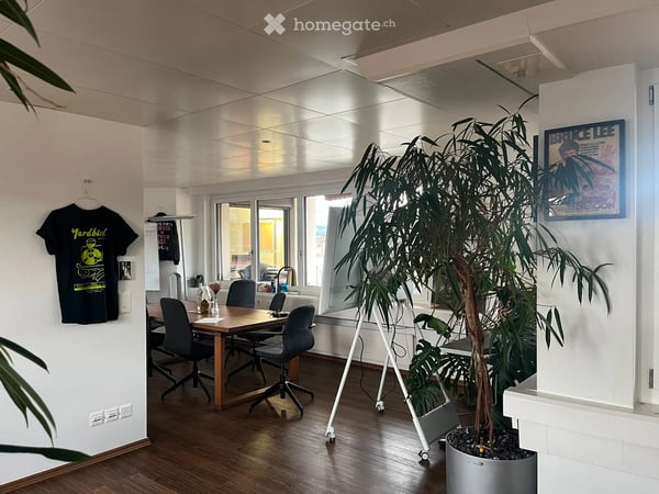 Modernes 5-Zimmer-Büro an der Birmensdorferstrasse in Zürich – 148 m², 5. OG 11