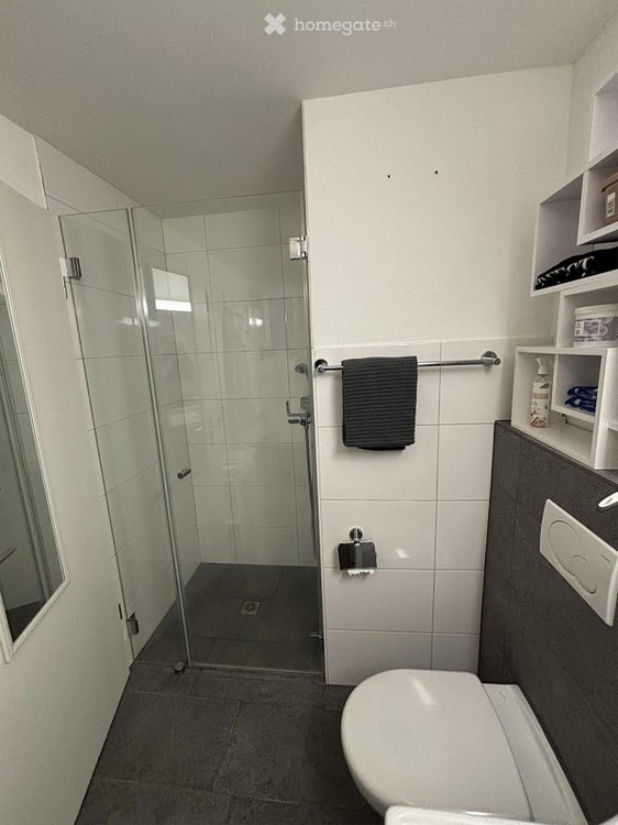 2.5 Zimmer Wohnung mit Gartenanteil in Hölstein 1