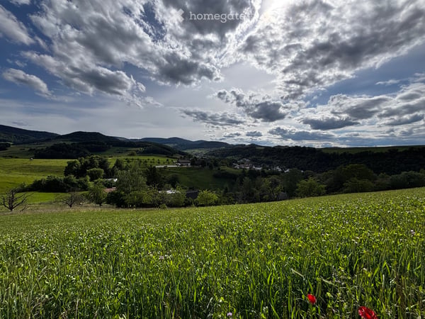 2.5 Zimmer Wohnung mit Gartenanteil in Hölstein 3