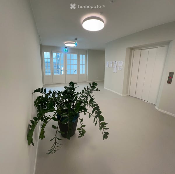Wohnung mit Ambulanter Wohnbegleitung im neu-saniertem Socin-Haus 6