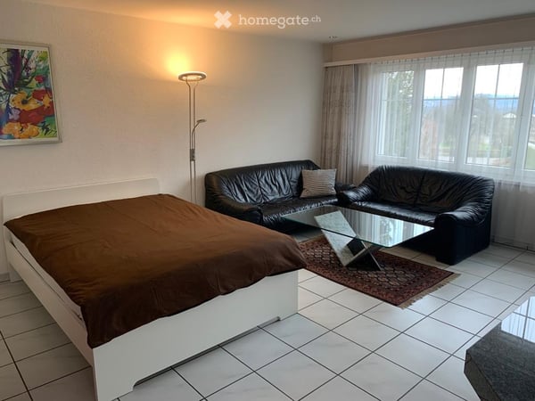 Möblierte 1 1/2 Zimmer-Wohnung mit eigenem Sitzplatz. Ruhig mit W-LAN und TV! 3