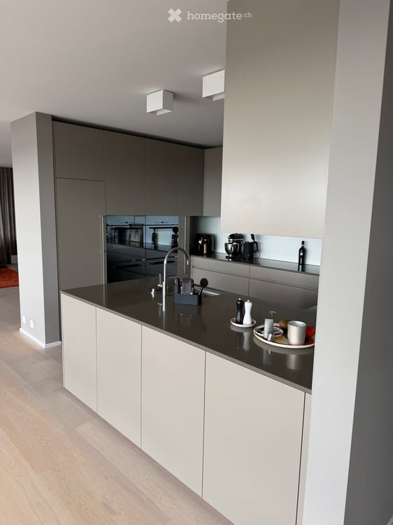 Exklusive Attika-Duplex-Wohnung mit traumhafter Dachterrasse und Seeblick 6