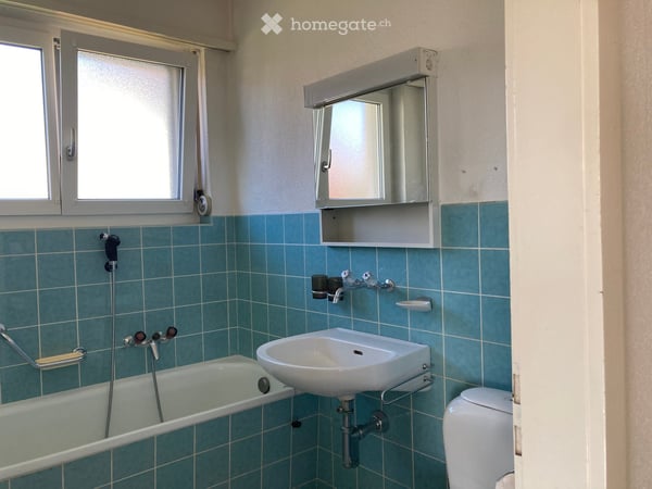 Ihr Projekt: Einfamilienhaus mit grosszügigem Garten 9