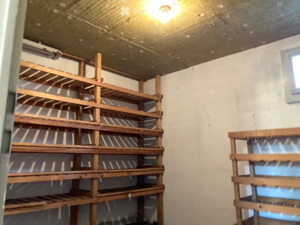 Ihr Projekt: Einfamilienhaus mit grosszügigem Garten 15