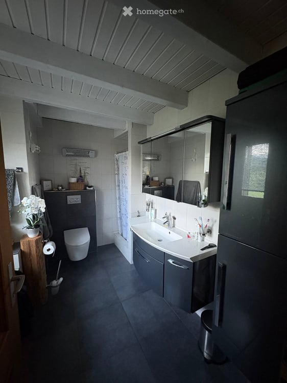 Charmante 5.5-Zimmer-Dachwohnung in Rufi, SG 4