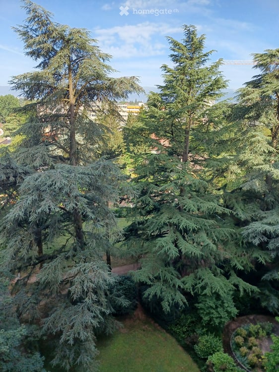Spacieux appartement de 6 pièces, 132 m2 PPE, traversant, avec vue panoramique à Thônex 18
