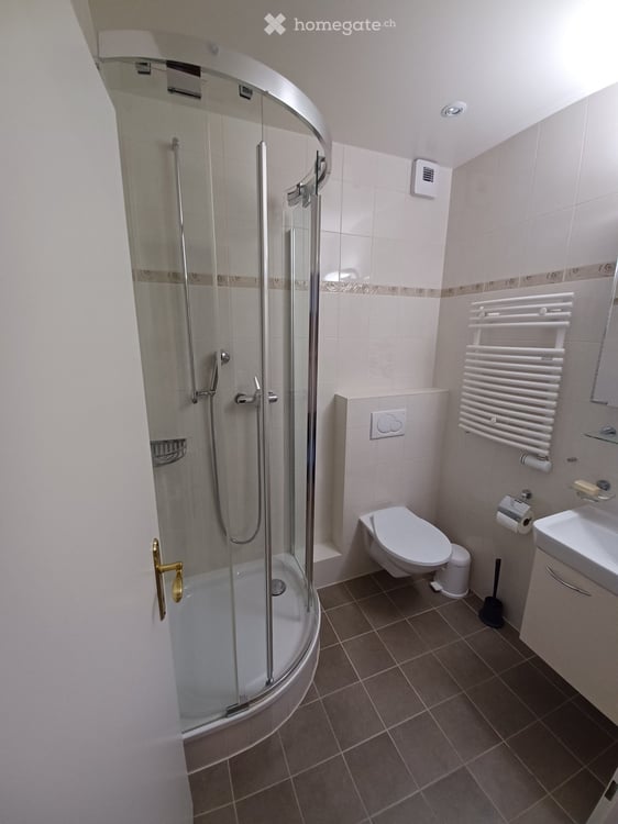 Spacieux appartement de 6 pièces, 132 m2 PPE, traversant, avec vue panoramique à Thônex 11
